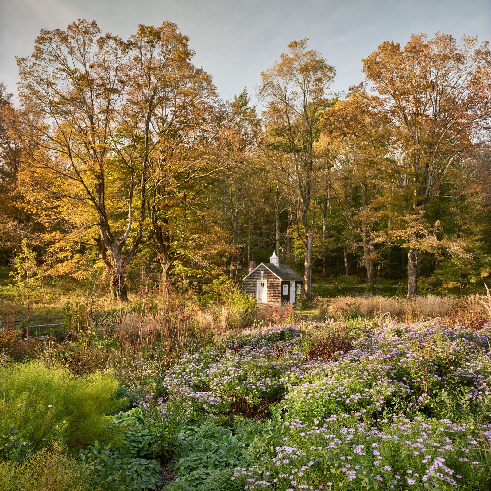 An extraordinarily enchanting Connecticut garden designed by Dan Pearson