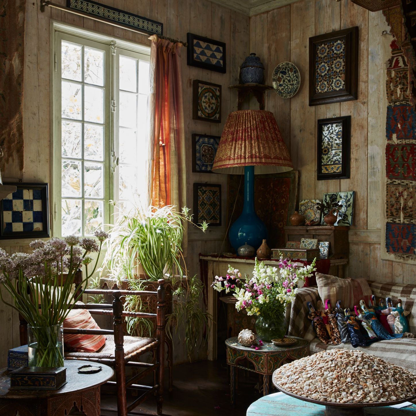 How to grow a spider plant (and five other trailing gems for bathrooms)